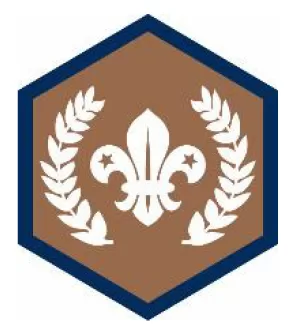 Chief Scouts Bronze Award